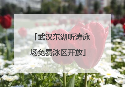 武汉东湖听涛泳场免费泳区开放