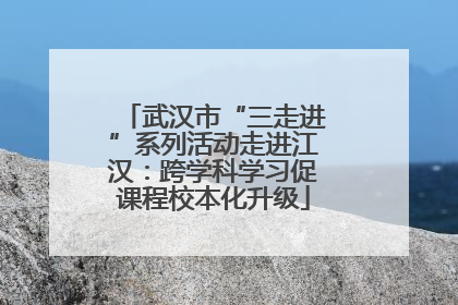 武汉市“三走进”系列活动走进江汉：跨学科学习促课程校本化升级