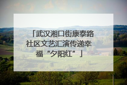 武汉湘口街康泰路社区文艺汇演传递幸福“夕阳红”