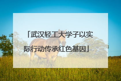 武汉轻工大学子以实际行动传承红色基因