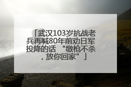 武汉103岁抗战老兵再喊80年前劝日军投降的话 “缴枪不杀，放你回家”