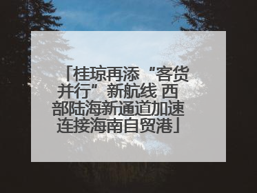 桂琼再添“客货并行”新航线 西部陆海新通道加速连接海南自贸港