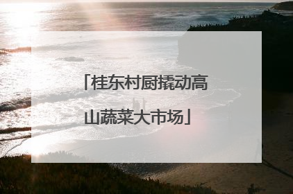 桂东村厨撬动高山蔬菜大市场