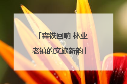 森铁回响 林业老镇的文旅新韵