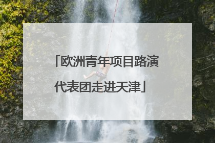 欧洲青年项目路演代表团走进天津