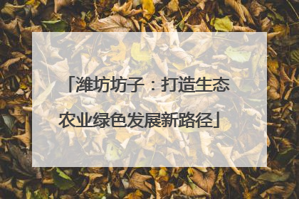 潍坊坊子：打造生态农业绿色发展新路径