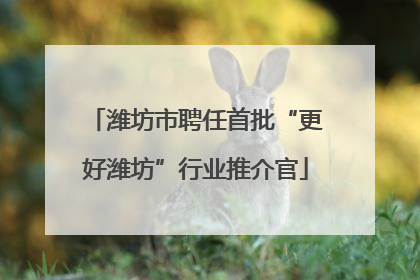潍坊市聘任首批“更好潍坊”行业推介官