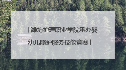 潍坊护理职业学院承办婴幼儿照护服务技能竞赛
