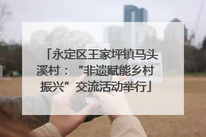 永定区王家坪镇马头溪村：“非遗赋能乡村振兴”交流活动举行