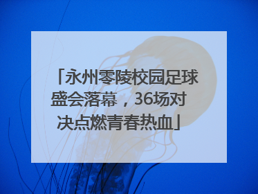 永州零陵校园足球盛会落幕，36场对决点燃青春热血
