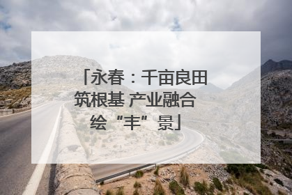 永春：千亩良田筑根基 产业融合绘“丰”景
