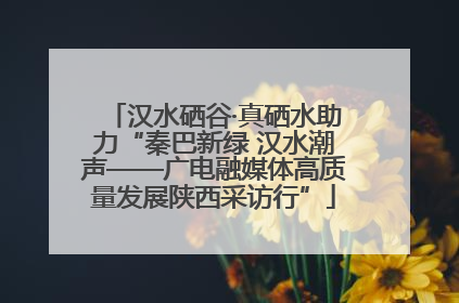 汉水硒谷·真硒水助力“秦巴新绿 汉水潮声——广电融媒体高质量发展陕西采访行”
