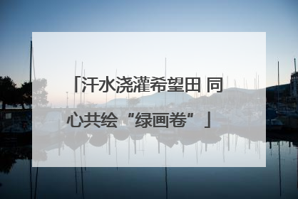 汗水浇灌希望田 同心共绘“绿画卷”