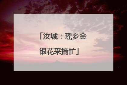 汝城：瑶乡金银花采摘忙