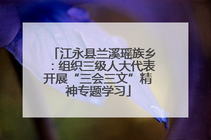 江永县兰溪瑶族乡：组织三级人大代表开展“三会三文”精神专题学习