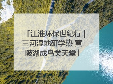 江淮环保世纪行｜三河湿地研学热 黄陂湖成鸟类天堂