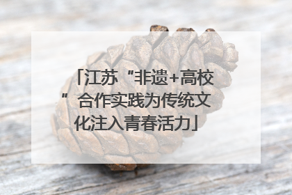 江苏“非遗+高校”合作实践为传统文化注入青春活力