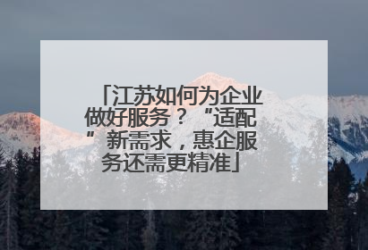 江苏如何为企业做好服务？“适配”新需求，惠企服务还需更精准
