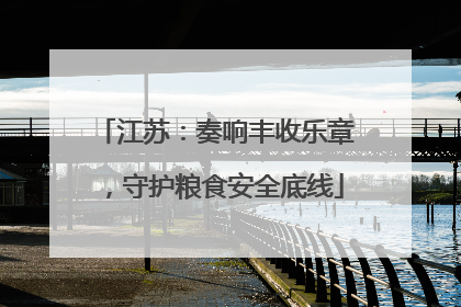江苏：奏响丰收乐章，守护粮食安全底线