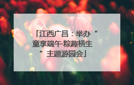 江西广昌：举办“童享端午·粽趣横生”主题游园会