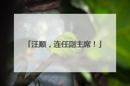 汪顺，连任副主席！