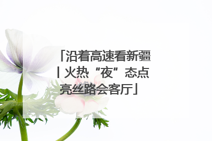 沿着高速看新疆丨火热“夜”态点亮丝路会客厅