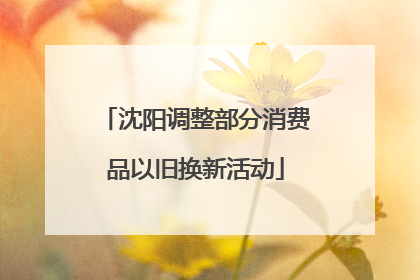 沈阳调整部分消费品以旧换新活动