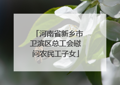 河南省新乡市卫滨区总工会慰问农民工子女