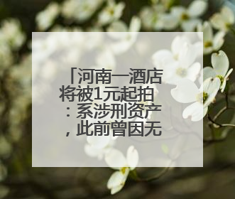 河南一酒店将被1元起拍：系涉刑资产，此前曾因无人出价流拍
