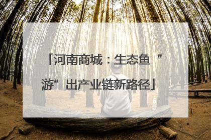 河南商城：生态鱼“游”出产业链新路径