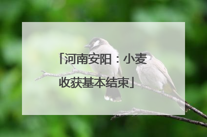 河南安阳：小麦收获基本结束
