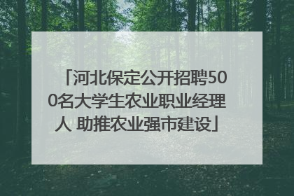 河北保定公开招聘500名大学生农业职业经理人 助推农业强市建设