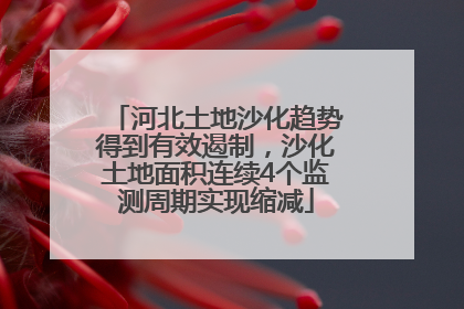 河北土地沙化趋势得到有效遏制，沙化土地面积连续4个监测周期实现缩减