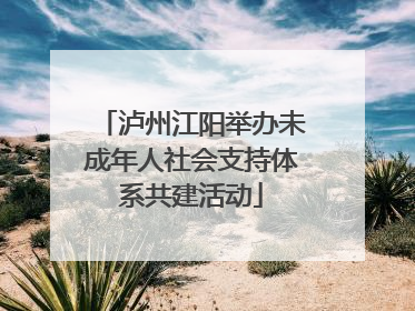 泸州江阳举办未成年人社会支持体系共建活动