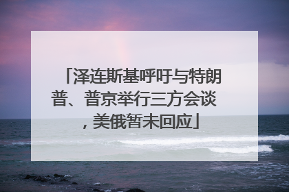 泽连斯基呼吁与特朗普、普京举行三方会谈，美俄暂未回应