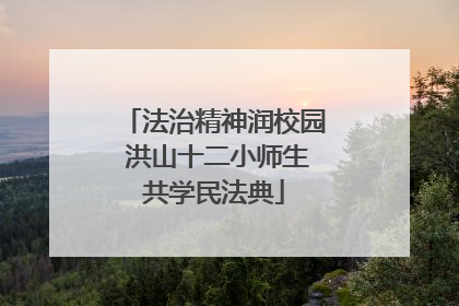 法治精神润校园 洪山十二小师生共学民法典