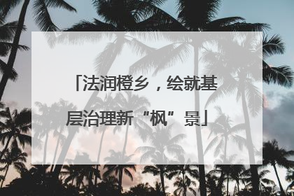 法润橙乡，绘就基层治理新“枫”景
