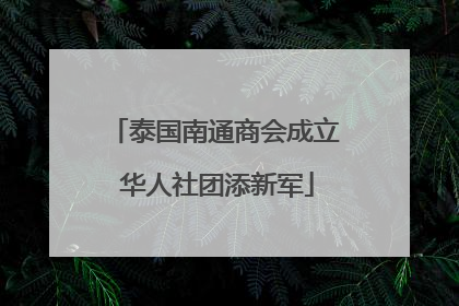 泰国南通商会成立 华人社团添新军