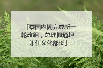 泰国内阁完成新一轮改组，总理佩通坦兼任文化部长