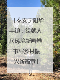 泰安宁阳华丰镇：绘就人居环境新画卷 书写乡村振兴新篇章
