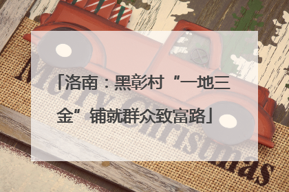 洛南：黑彰村“一地三金”铺就群众致富路