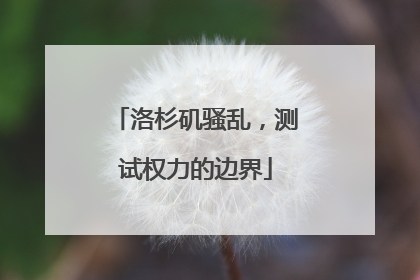 洛杉矶骚乱，测试权力的边界