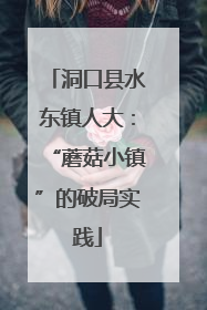 洞口县水东镇人大：“蘑菇小镇”的破局实践