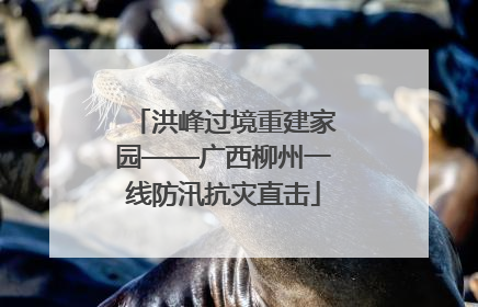 洪峰过境重建家园——广西柳州一线防汛抗灾直击