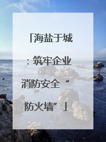 海盐于城：筑牢企业消防安全“防火墙”