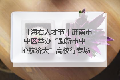 海右人才节｜济南市中区举办“励新市中 护航济大”高校行专场活动暨“青年人才 乐享市中”品牌推介会