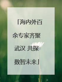 海内外百余专家齐聚武汉 共探数智未来