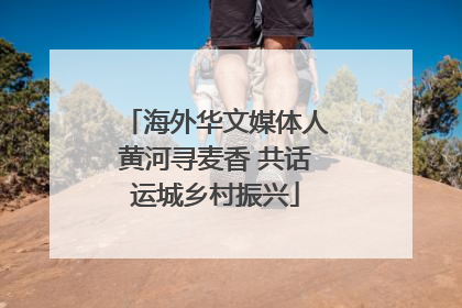 海外华文媒体人黄河寻麦香 共话运城乡村振兴