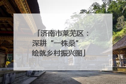 济南市莱芜区：深耕“一株桑” 绘就乡村振兴图