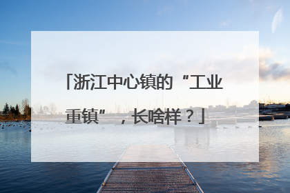 浙江中心镇的“工业重镇”，长啥样？